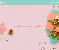 https://www.maxi-promo.fr